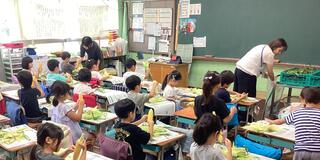 みんなでわいわい楽しそうです。