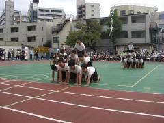 高学年組体操
