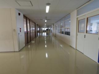 校舎内は光っています。