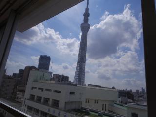 ランチルームからはこのように見えます。