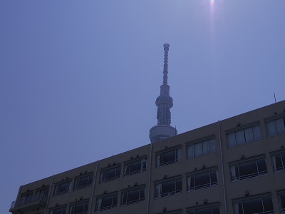 校舎の向こう